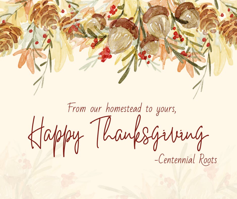 From our homestead to yours, Happy Thanksgiving. -Centennial Roots. with fall leaves and acorns on top.