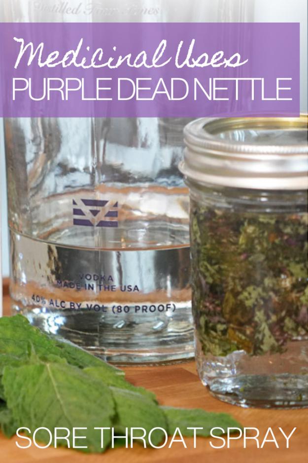 dead nettle tincture, vodka, and mint leaves on counter